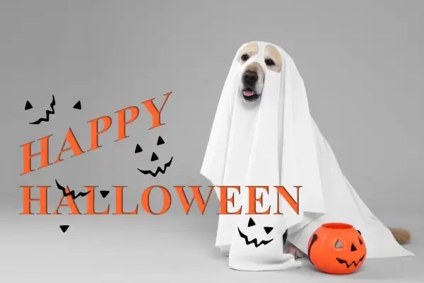 Happy Halloween from Statewide Funding Inc.